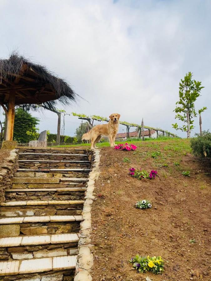 Willa Casa De Piedra Barreirina A Coruña Zewnętrze zdjęcie